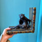 Pair of Vintage Ceramic Monkey Bookends