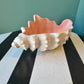 Vintage Fitz and Floyd Ceramic Shell Catchall Bowl