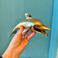 Vintage Brass Dolphin Figurine